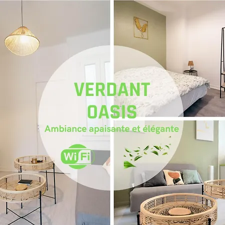 Verdant Oasis - Proche Du Centre - Wifi Gratuit - Parking A Proximite Lourdes Exterior photo